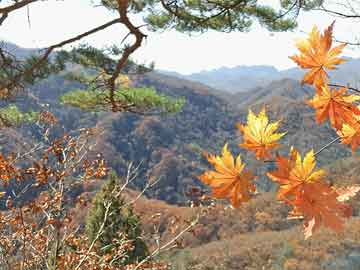 交通运输部检查指导组：津蓟高速京秦地道存在渗流问题